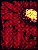 Detail of Painted Flowers by Stained Glass Artist Scotty Giffen