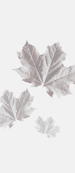 Custom Themes